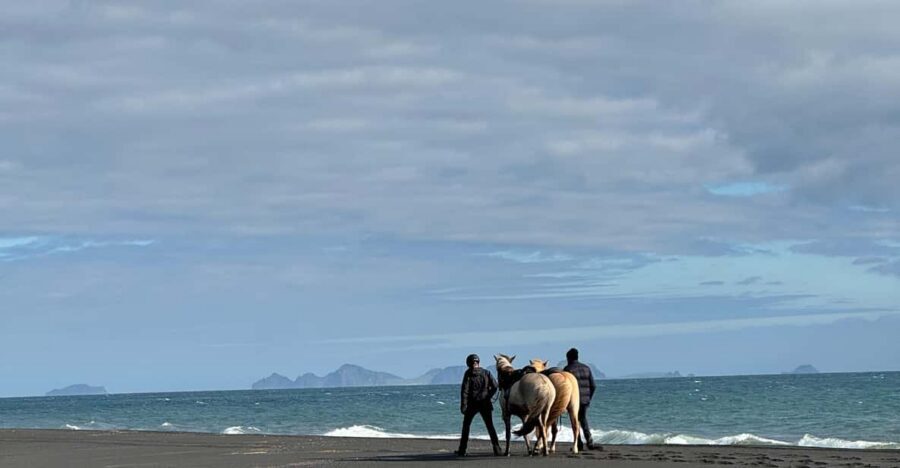 southern Iceland: Black beach riding tour - Weather and Clothing: Your Icelandic Homework