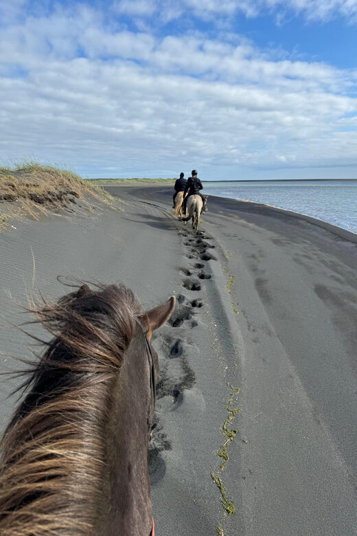 southern Iceland: Black beach riding tour - Price and Value: Is $194 Worth It?
