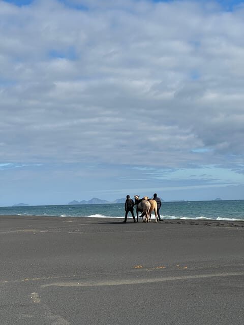 southern Iceland: Black beach riding tour - A Practical Moment-by-Moment Look at Your Ride