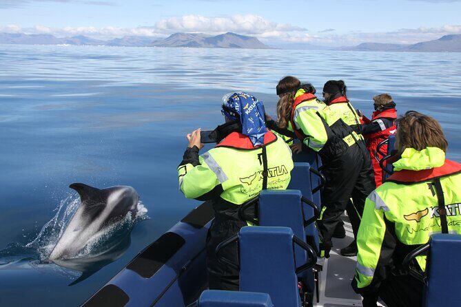 Speedboat Whale Watching Small-Group Tour in Reykjavik - Meeting at Special Tours (and arriving early)