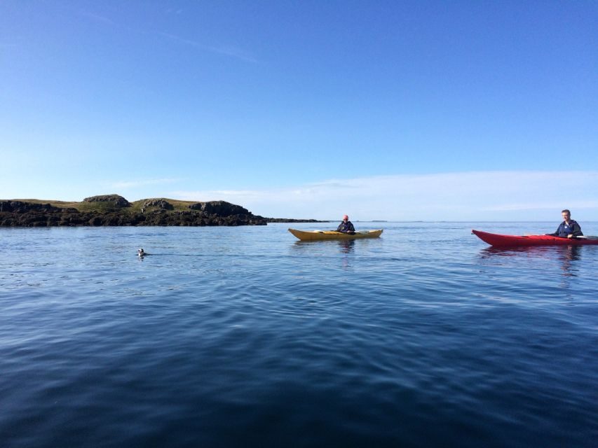 Stykkishólmur: 2-Hour Sea Kayak Tour - Key highlights you should actually care about