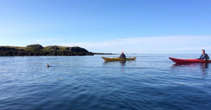 Stykkishólmur: 2-Hour Sea Kayak Tour - Stykkishólmur starts with working-ship energy, not tourist noise