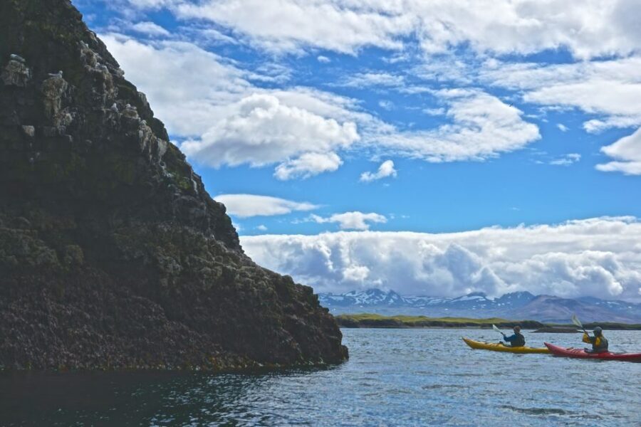 Stykkishólmur: 2-Hour Sea Kayak Tour - The first paddle out: Landey’s eiderdown, right where birds and people meet