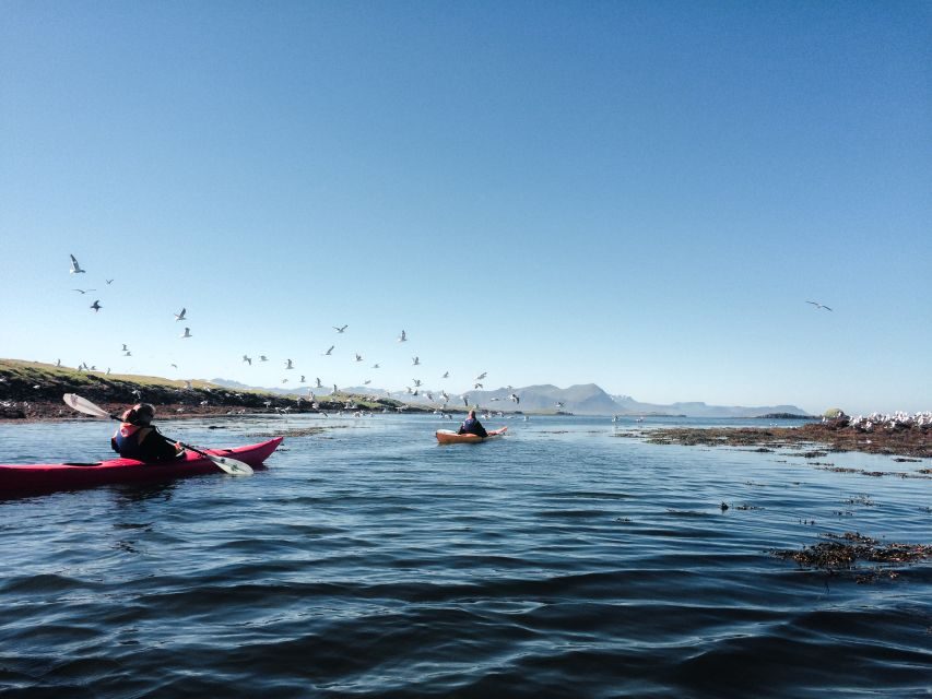 Stykkishólmur: 2-Hour Sea Kayak Tour - Gear and dry suits: why this tour feels easier than it sounds