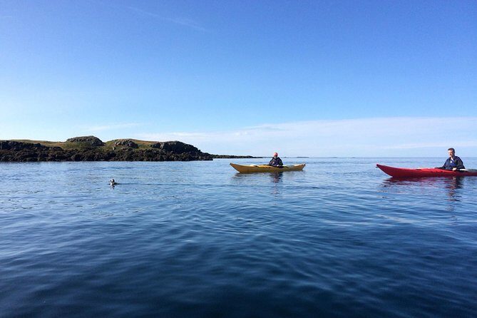 Stykkisholmur Sea kayak Day tour - Key highlights at a glance
