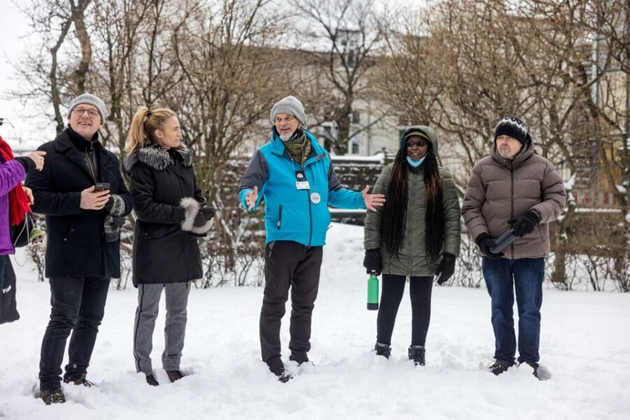 The Private Reykjavik CatWalk - Entering Reykjavik via Cat Myths (Not Just Landmarks)