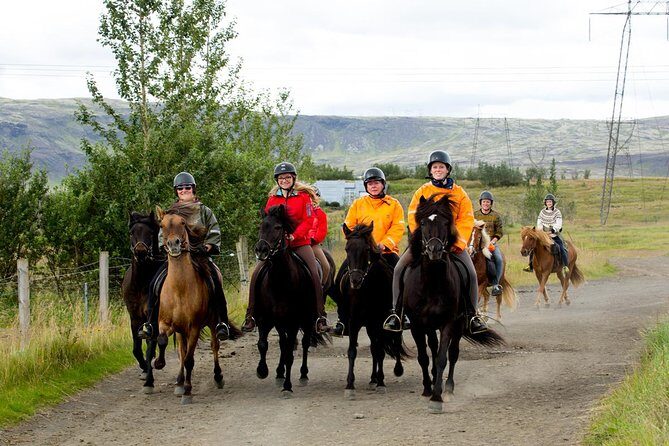 The Siggi Tour from Reykjavík: 1.5 to 2-Hour Ride - Key things I’d circle on the Siggi Tour