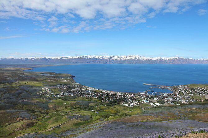 The Story of Fire Saga Eurovision: Netflix Húsavík Walking Tour - Stop 1: Húsavík’s Eurovision-town kickoff and where the story begins