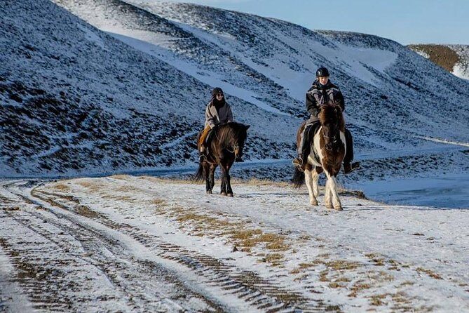 The Viking Horse Riding Experience in North Iceland - Key Things I’d Book This For