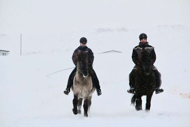 The Viking Horse Riding Experience in North Iceland - Arriving at Hestasport and Getting Geared Up