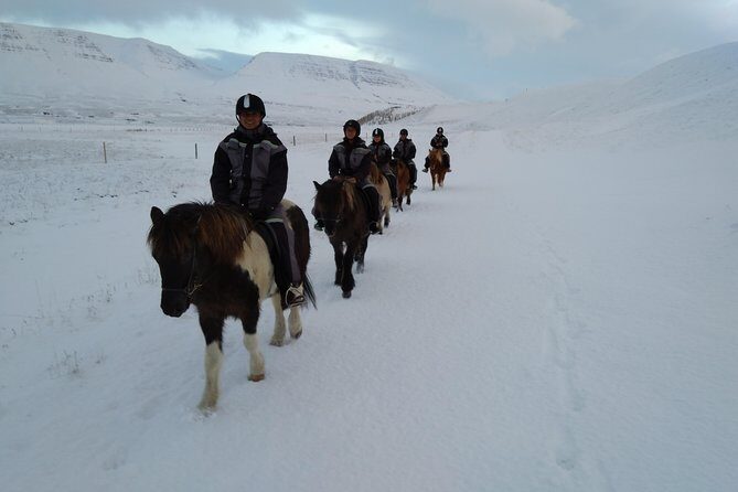 The Viking Horse Riding Experience in North Iceland - Waterfall Views, River Crossings, and the Stuff You’ll Remember