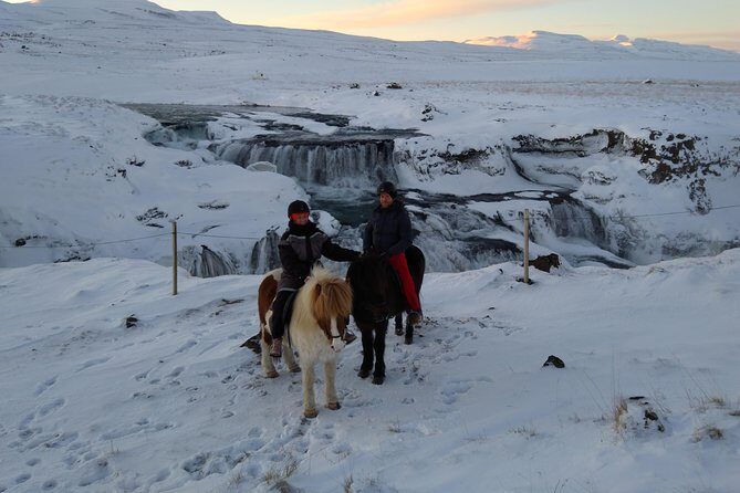 The Viking Horse Riding Experience in North Iceland - Horses, Safety, and Who This Tour Fits Best