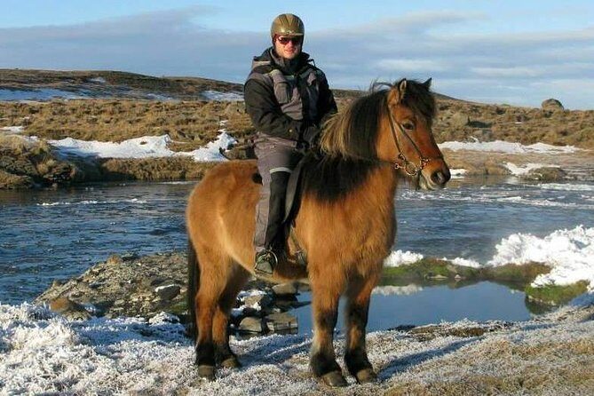 The Viking Horse Riding Experience in North Iceland - Price, Timing, and Weather Reality Near Akureyri