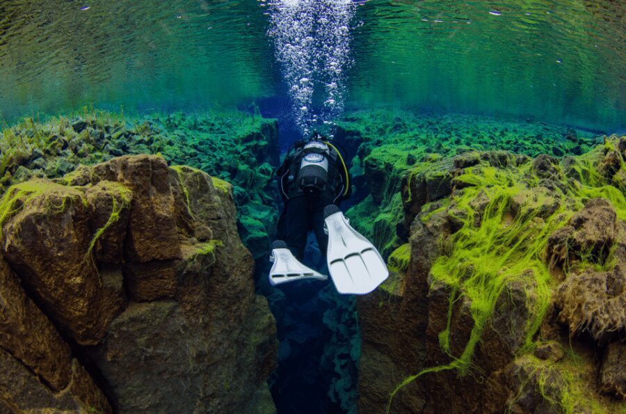 Thingvellir: Silfra Fissure Diving with Optional Pickup - Dry-suit scuba requirements: the part that decides yes or no