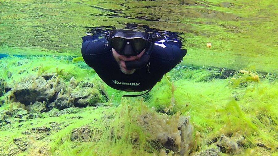 Thingvellir: Silfra Freedive Adevnture with a Guide - Þingvellir Meeting Spot: P5 Parking, Short Walk, Freedive Iceland Vans