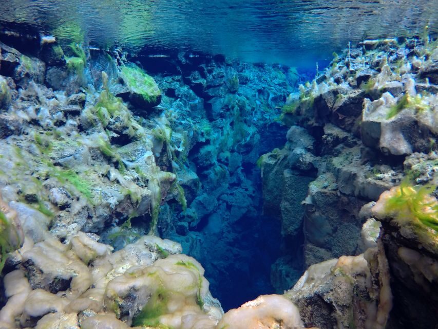 Thingvellir: Silfra Freedive Adevnture with a Guide - Safety and Suitability: Who Should Go, and Who Should Skip Silfra