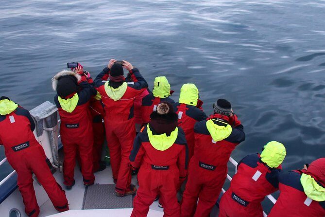 Two-In-One: Whale & Puffin Watching Tours from Reykjavik - Value check: is $140 worth it for puffins plus whales?