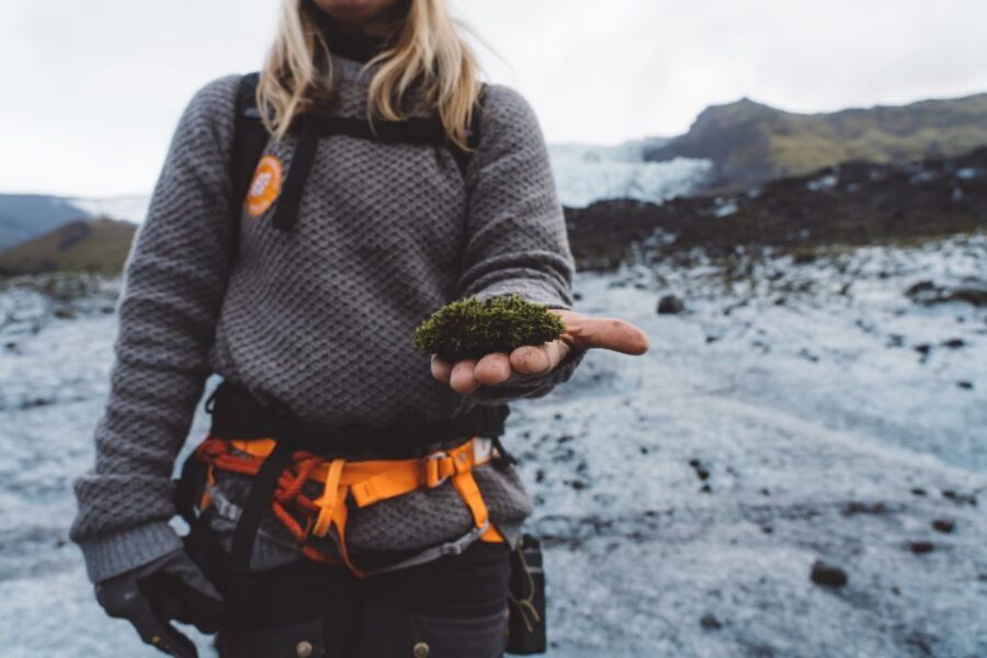 Vatnajökull: Short Glacier Encounter Walk with 4x4 Transfer - Who This Tour Suits Best (And Who Might Struggle)