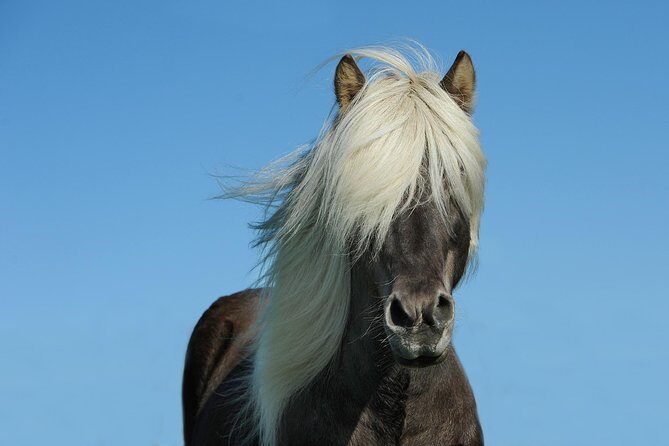 Viking Horse Riding and Golden Circle Tour from Reykjavik - Gullfoss Waterfall: Two-Tier Power and How to Keep Your Camera Dry