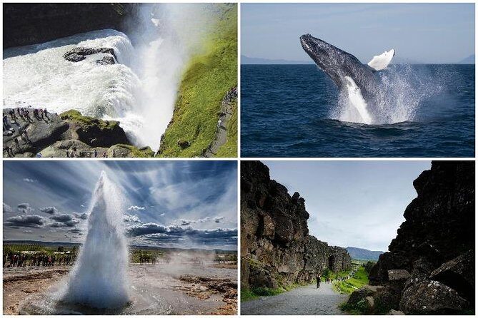 Whale Watching and Golden Circle Tour from Reykjavik - Price and value: where your $192 really goes