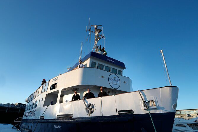 Whale Watching and Marine Life Tour in Reykjavik - Reykjavik From the Water: What You Get Besides Whales