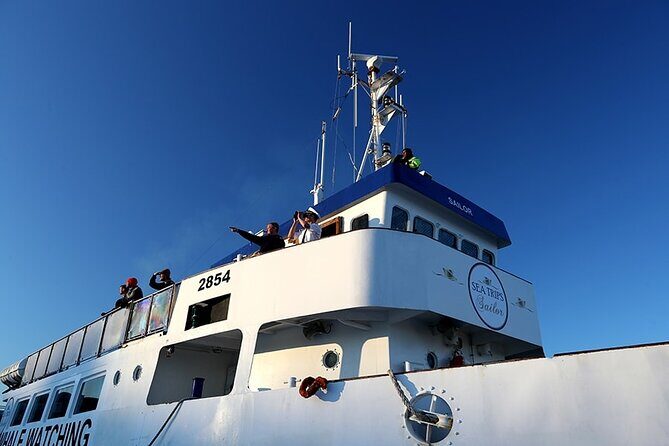 Whale Watching and Marine Life Tour in Reykjavik - Island Passes: Engey, Lundey (Puffin Island), and Viðey