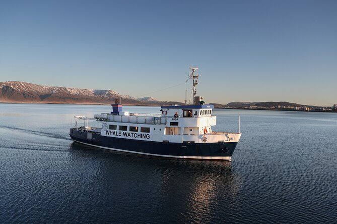 Whale Watching and Marine Life Tour in Reykjavik - Marine Life Spotting: Captain Talk and the Photo-Ready Boat