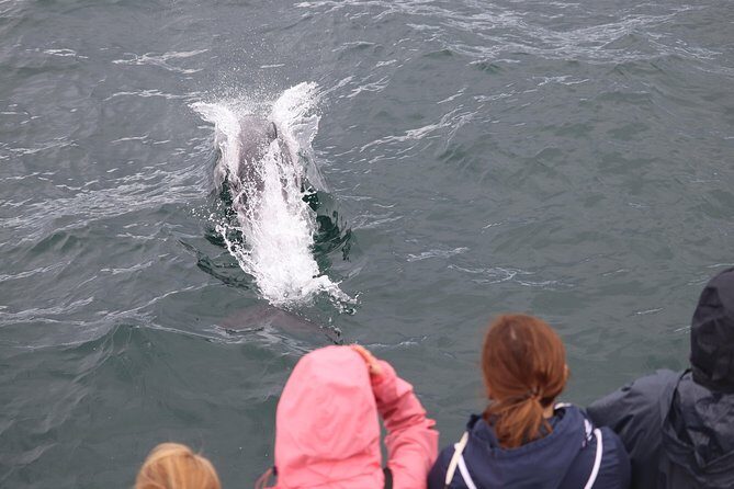 Whale Watching and Northern Lights Half-Day Combo Tour - Whale watching on a heated boat: comfort first, spotting second