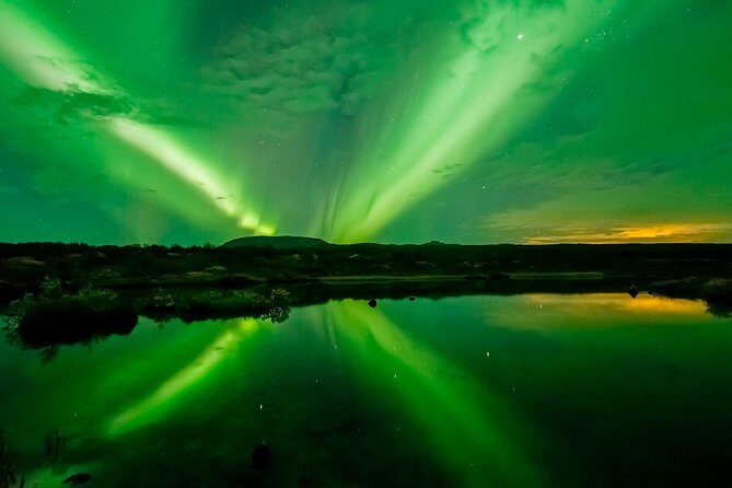 Whale Watching and Northern Lights Half-Day Combo Tour - Should you book the Whale Watching and Northern Lights Half-Day Combo?