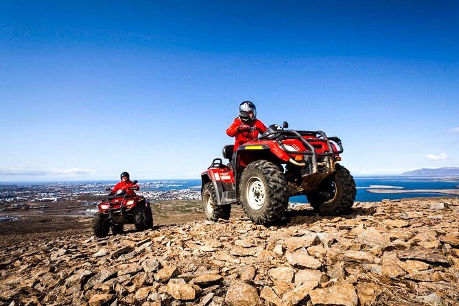 Whale Watching & ATV Adventure from Reykjavik - Whale Watching on Faxaflói Bay: What You Can Expect to See