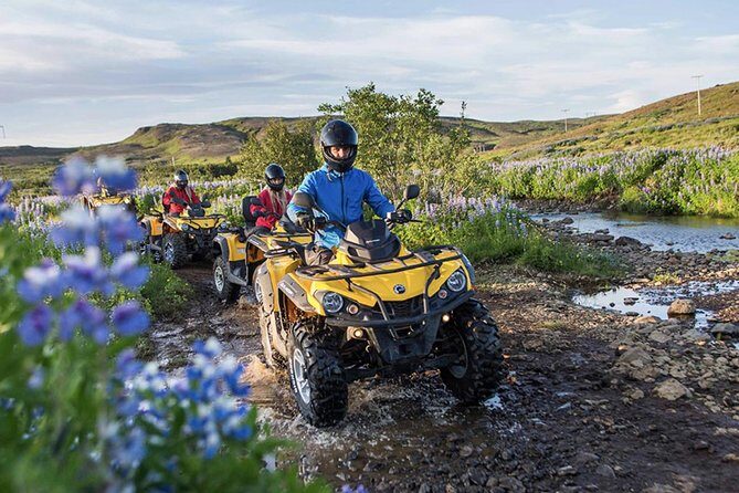 Whale Watching & ATV Adventure from Reykjavik - Wi-Fi, Guides, and Staying Connected Without Losing the Moment