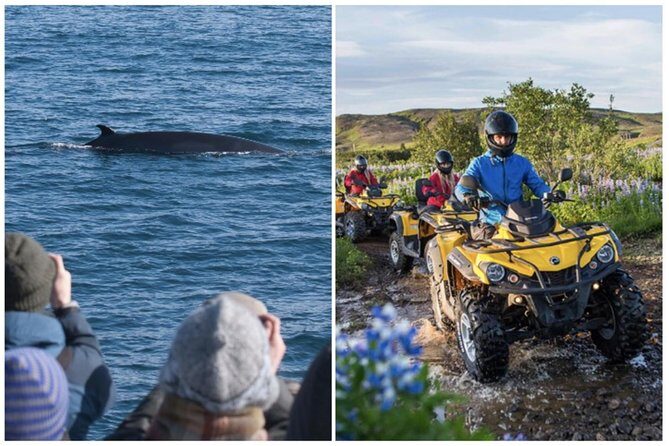 Whale Watching & ATV Adventure from Reykjavik - Gear, Cold, and Comfort: How to Dress for the Quads