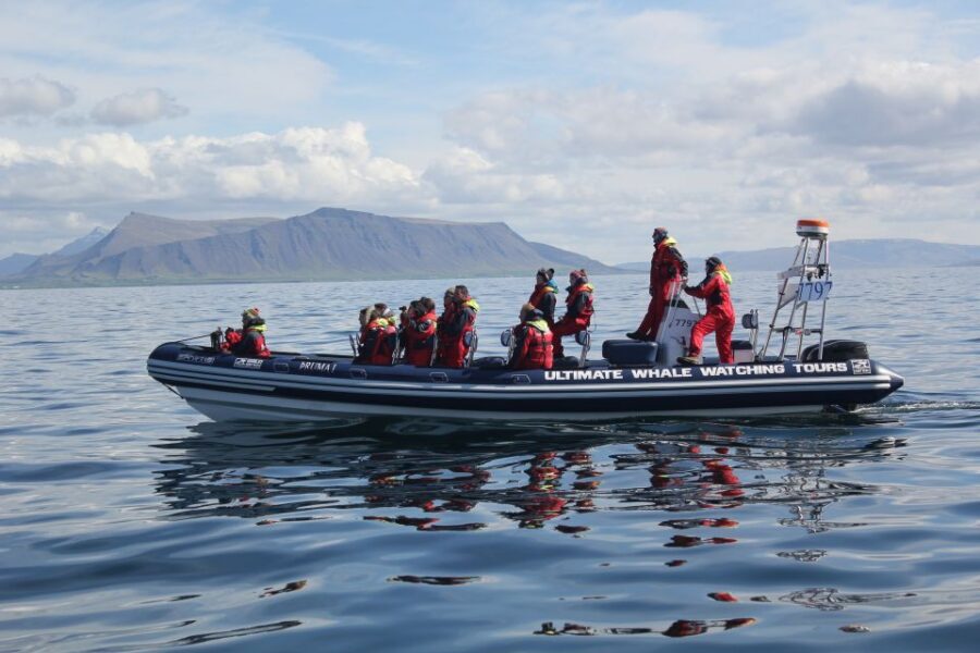 Whale Watching in Reykjavik by Speedboat - Practical Tips for a Smoother Old Harbour Start