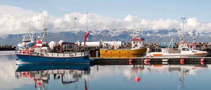 Whale Watching on a Traditional Oak Sailing Ship from Husavik - Key highlights that matter