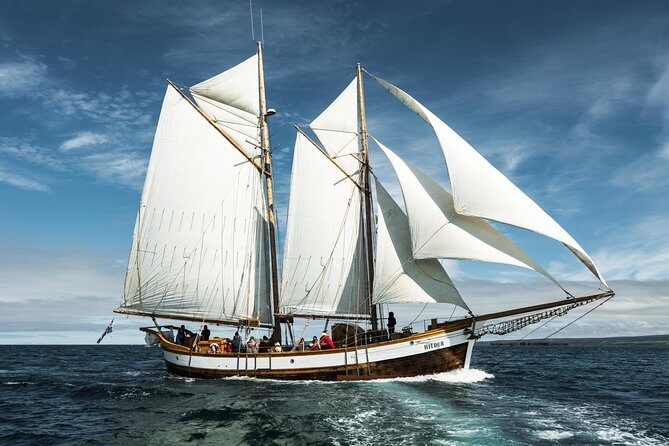 Whale Watching on a Traditional Oak Sailing Ship from Husavik - The 3-Hour Whale Search: How the Timing Works in Real Life