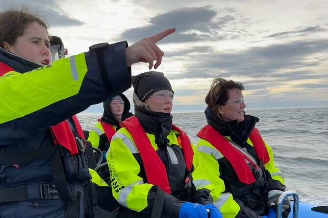 Whale Watching - RIB Boat Adventure in Kopavogur, Iceland - Why this RIB ride feels like a rollercoaster (and still stays comfortable)