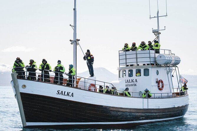 Whales and Puffins Tour from Husavik - Comfort that matters on a 3.5-hour boat ride