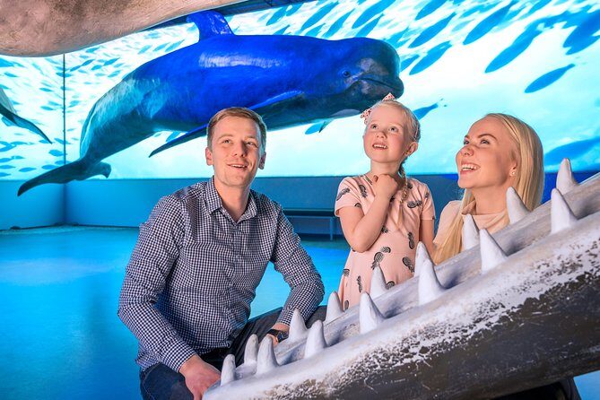 Whales Of Iceland Admission Ticket - Interactive exhibits: anatomy and behavior, not just pictures