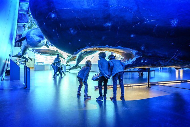 Whales Of Iceland Admission Ticket - Using the audio guide well: headphones and 17 languages