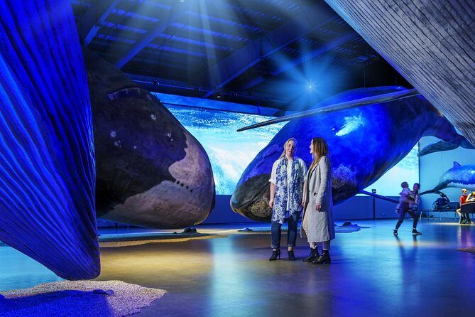 Whales of Iceland from Land and Sea - Getting from museum to boat: plan for a short walk