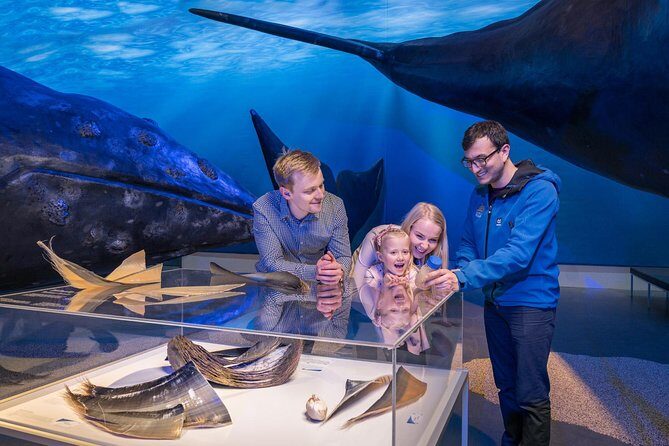 Whales of Iceland from Land and Sea - Old Harbor departure: what the first stretch is like