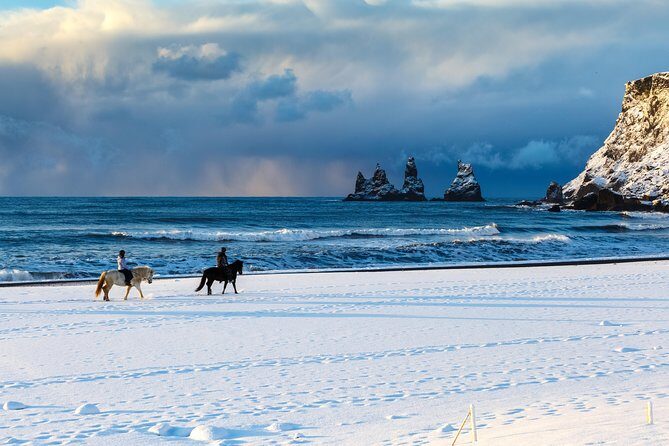 Winter South Coast Day Tour by Minibus from Reykjavik - Vik and Reynisfjara: town break, then black-sand drama