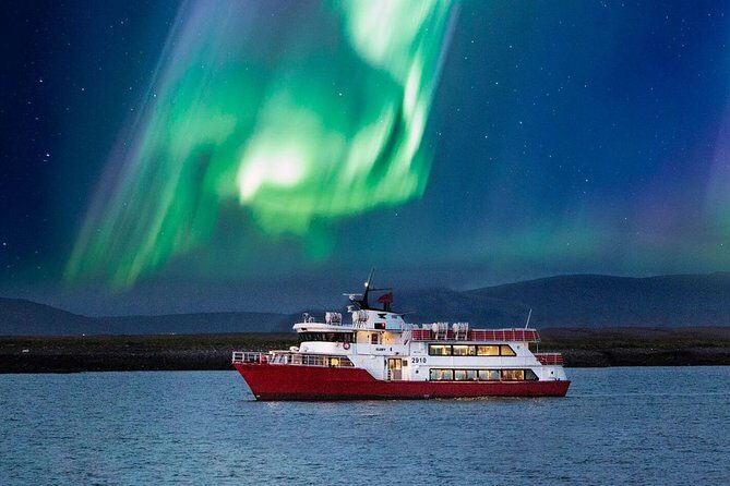 Winter Whale Watching and Northern Lights Cruise from Reykjavik - The Big Idea: Why This Combo Works Better Than Two Separate Plans
